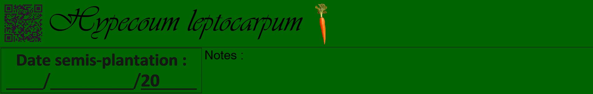 Étiquette de : Hypecoum leptocarpum - format a - style noire8basiqueviv avec qrcode et comestibilité simplifiée
