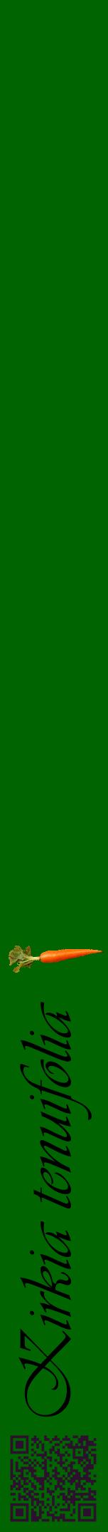 Étiquette de : Kirkia tenuifolia - format a - style noire8viv avec qrcode et comestibilité simplifiée