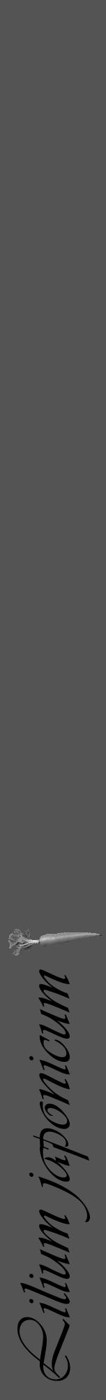 Étiquette de : Lilium japonicum - format a - style noire36viv avec comestibilité simplifiée - position verticale