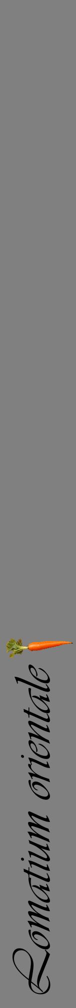 Étiquette de : Lomatium orientale - format a - style noire57viv avec comestibilité simplifiée