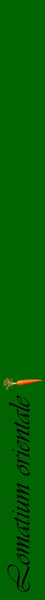 Étiquette de : Lomatium orientale - format a - style noire8viv avec comestibilité simplifiée