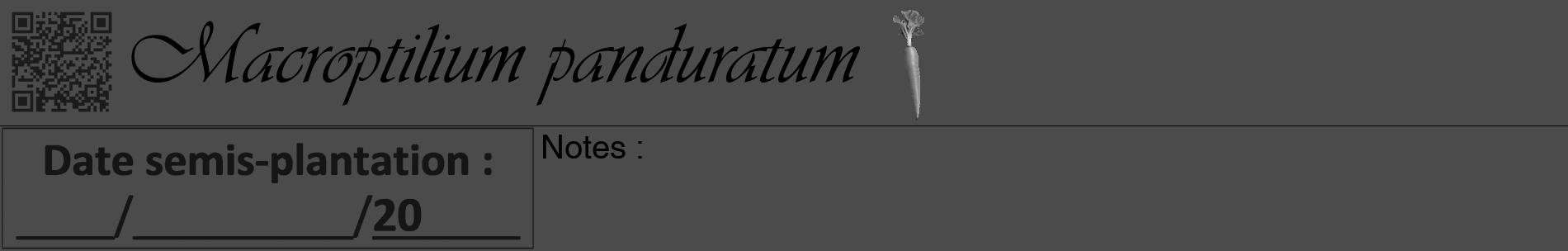Étiquette de : Macroptilium panduratum - format a - style noire9basiqueviv avec qrcode et comestibilité simplifiée