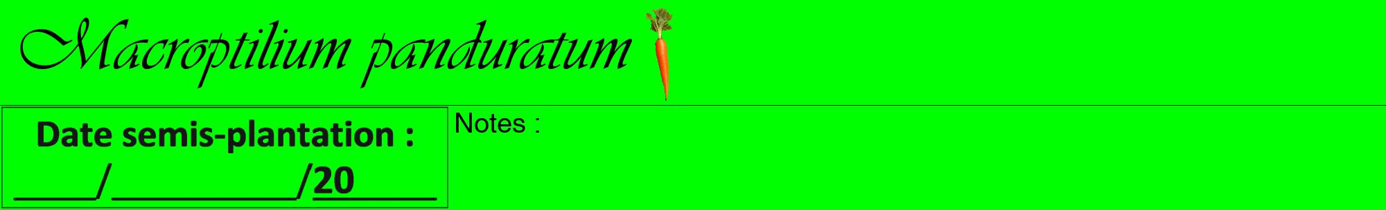 Étiquette de : Macroptilium panduratum - format a - style noire16viv avec comestibilité simplifiée