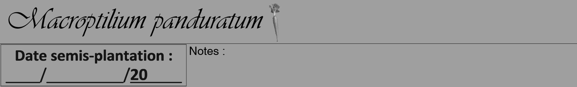 Étiquette de : Macroptilium panduratum - format a - style noire24viv avec comestibilité simplifiée