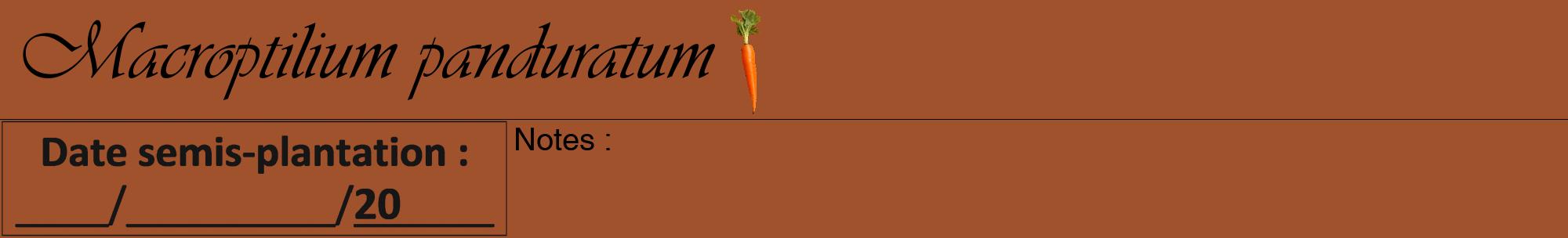 Étiquette de : Macroptilium panduratum - format a - style noire32viv avec comestibilité simplifiée