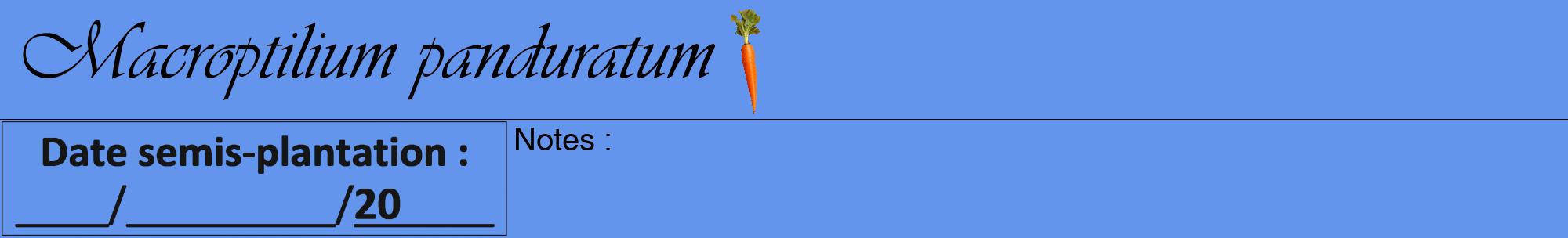 Étiquette de : Macroptilium panduratum - format a - style noire4viv avec comestibilité simplifiée