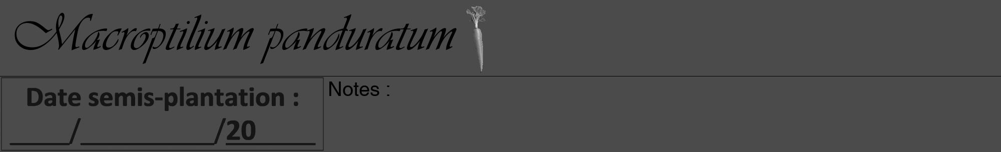 Étiquette de : Macroptilium panduratum - format a - style noire9basiqueviv avec comestibilité simplifiée