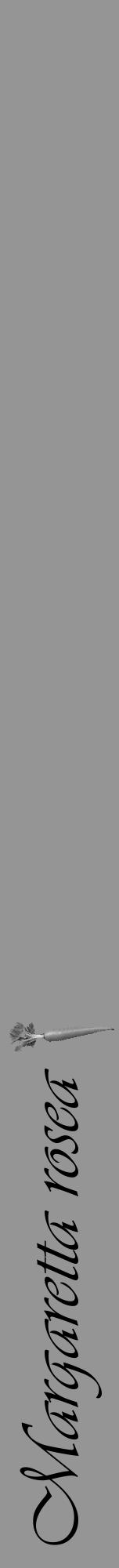 Étiquette de : Margaretta rosea - format a - style noire16basiqueviv avec comestibilité simplifiée - position verticale