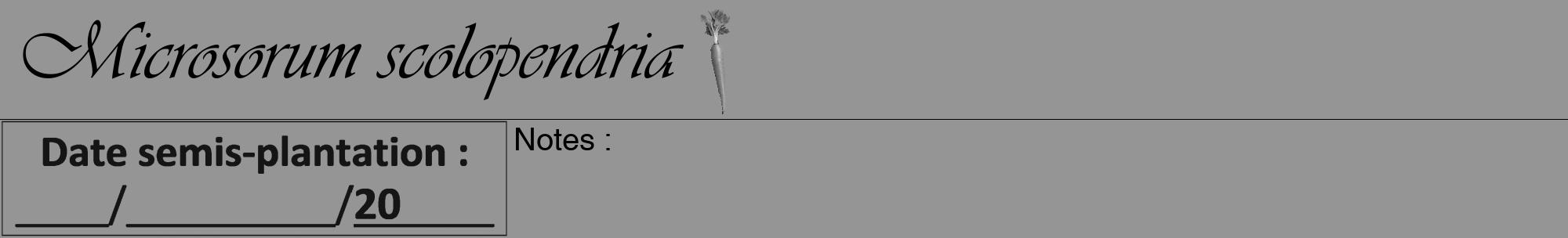 Étiquette de : Microsorum scolopendria - format a - style noire16viv avec comestibilité simplifiée