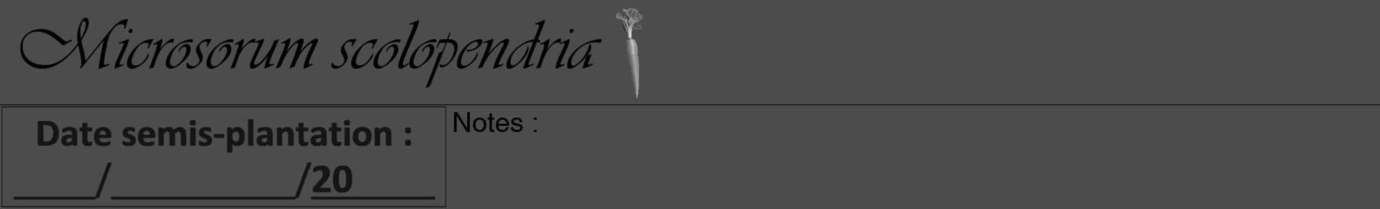 Étiquette de : Microsorum scolopendria - format a - style noire27viv avec comestibilité simplifiée