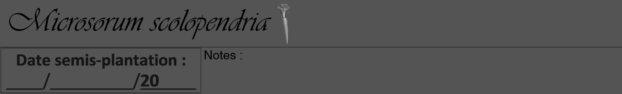 Étiquette de : Microsorum scolopendria - format a - style noire30viv avec comestibilité simplifiée