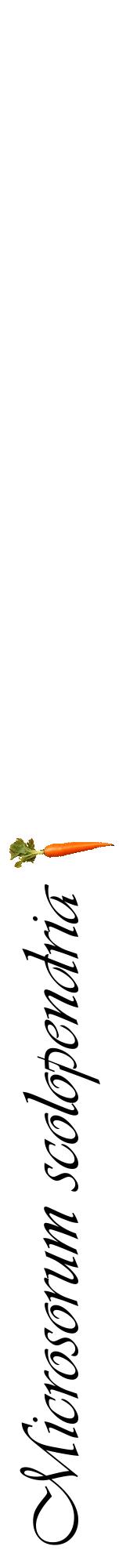 Étiquette de : Microsorum scolopendria - format a - style noire60viv avec comestibilité simplifiée
