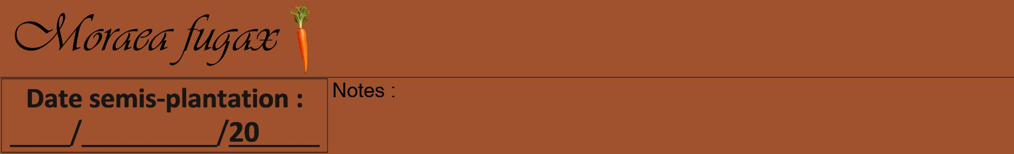 Étiquette de : Moraea fugax - format a - style noire32viv avec comestibilité simplifiée