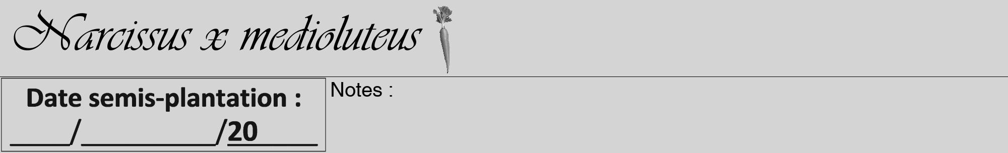 Étiquette de : Narcissus x medioluteus - format a - style noire40viv avec comestibilité simplifiée