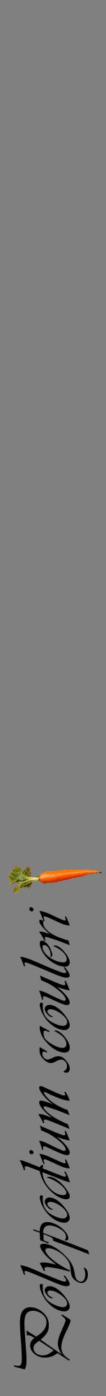 Étiquette de : Polypodium scouleri - format a - style noire57viv avec comestibilité simplifiée