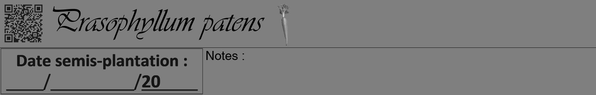 Étiquette de : Prasophyllum patens - format a - style noire31basiqueviv avec qrcode et comestibilité simplifiée
