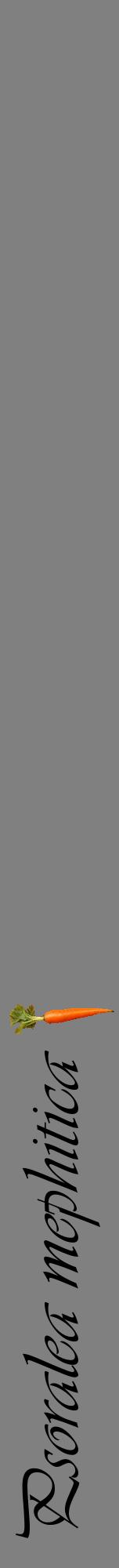 Étiquette de : Psoralea mephitica - format a - style noire57viv avec comestibilité simplifiée