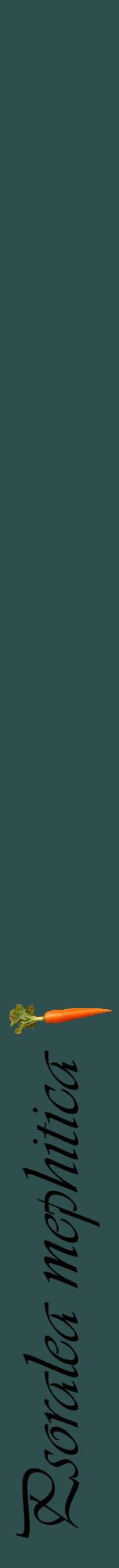 Étiquette de : Psoralea mephitica - format a - style noire58viv avec comestibilité simplifiée