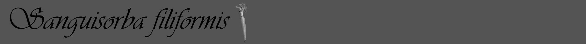 Étiquette de : Sanguisorba filiformis - format a - style noire36viv avec comestibilité simplifiée
