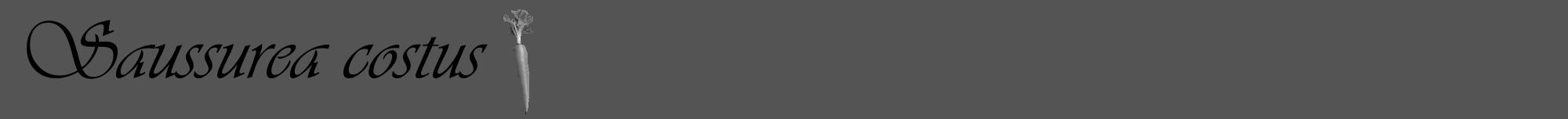 Étiquette de : Saussurea costus - format a - style noire36viv avec comestibilité simplifiée