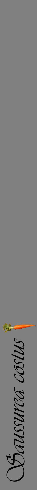 Étiquette de : Saussurea costus - format a - style noire57viv avec comestibilité simplifiée