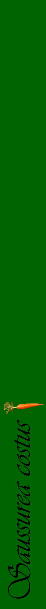 Étiquette de : Saussurea costus - format a - style noire8viv avec comestibilité simplifiée