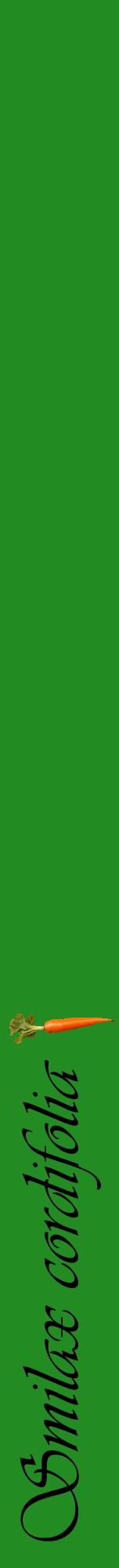 Étiquette de : Smilax cordifolia - format a - style noire10viv avec comestibilité simplifiée