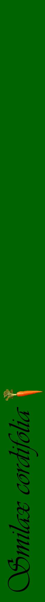 Étiquette de : Smilax cordifolia - format a - style noire8viv avec comestibilité simplifiée