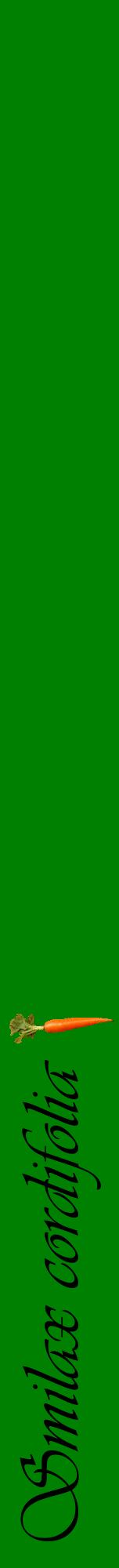 Étiquette de : Smilax cordifolia - format a - style noire9viv avec comestibilité simplifiée