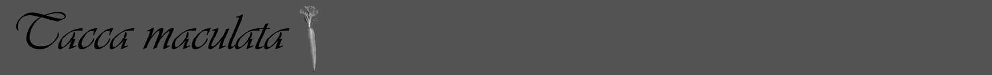 Étiquette de : Tacca maculata - format a - style noire36viv avec comestibilité simplifiée