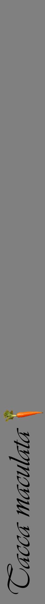 Étiquette de : Tacca maculata - format a - style noire57viv avec comestibilité simplifiée