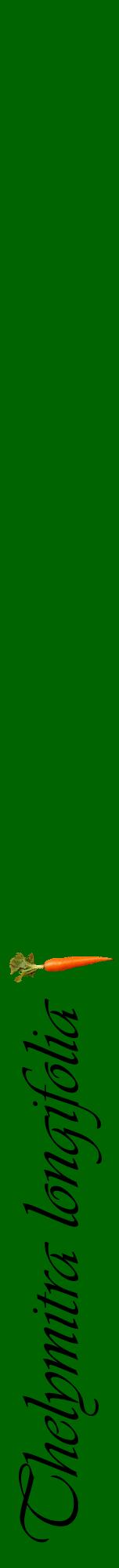 Étiquette de : Thelymitra longifolia - format a - style noire8viv avec comestibilité simplifiée