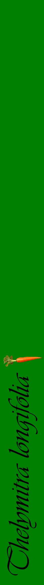 Étiquette de : Thelymitra longifolia - format a - style noire9viv avec comestibilité simplifiée