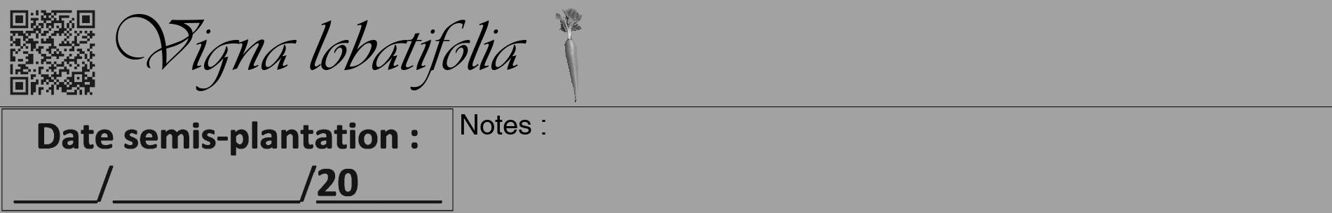 Étiquette de : Vigna lobatifolia - format a - style noire38basiqueviv avec qrcode et comestibilité simplifiée