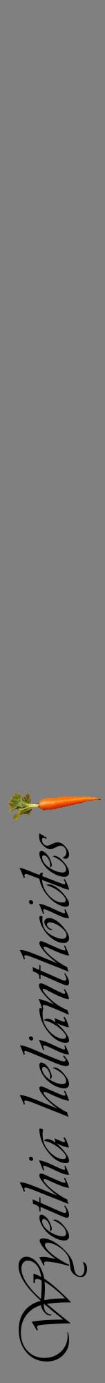 Étiquette de : Wyethia helianthoides - format a - style noire57viv avec comestibilité simplifiée