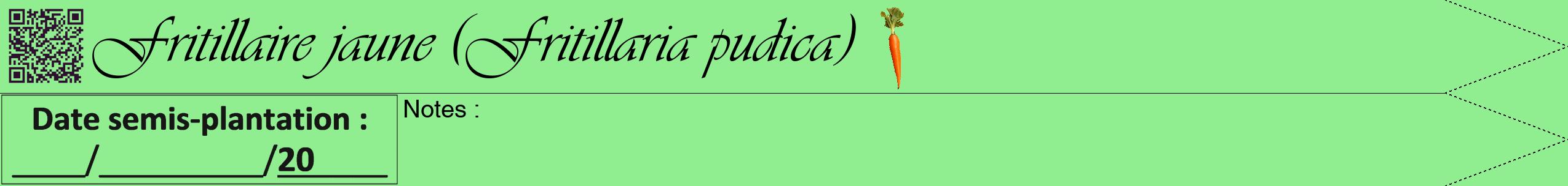 Étiquette de : Fritillaria pudica - format b - style noire15viv avec qrcode et comestibilité simplifiée