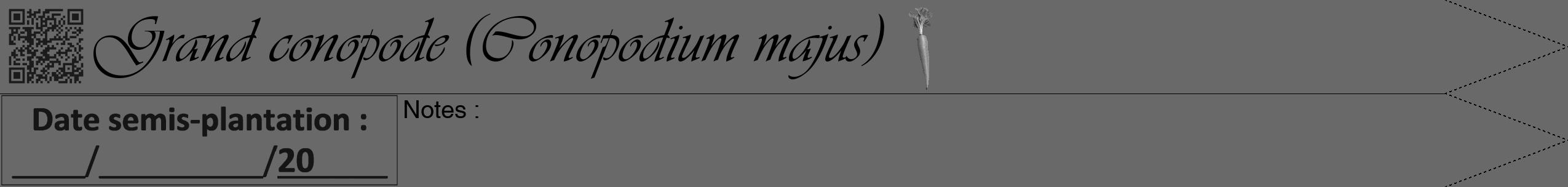 Étiquette de : Conopodium majus - format b - style noire11viv avec qrcode et comestibilité simplifiée