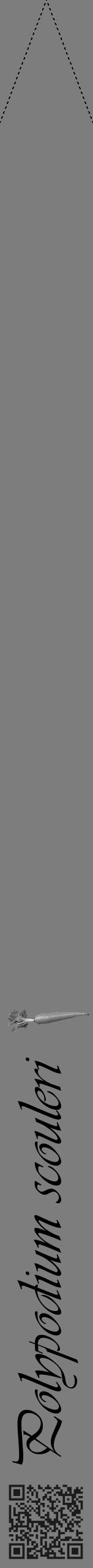 Étiquette de : Polypodium scouleri - format b - style noire35viv avec qrcode et comestibilité simplifiée - position verticale