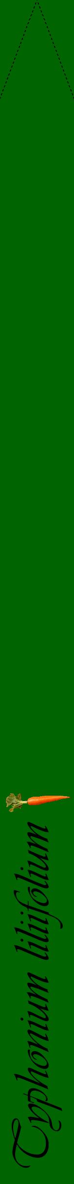 Étiquette de : Typhonium liliifolium - format b - style noire8viv avec comestibilité simplifiée