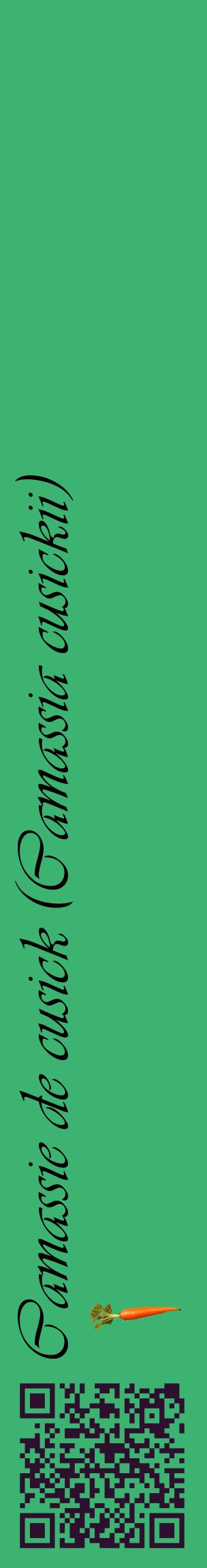 Étiquette de : Camassia cusickii - format c - style noire12_basiqueviv avec qrcode et comestibilité simplifiée