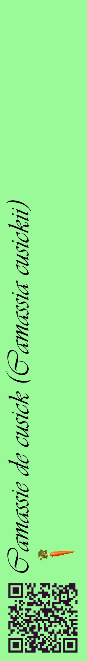 Étiquette de : Camassia cusickii - format c - style noire14_basiqueviv avec qrcode et comestibilité simplifiée
