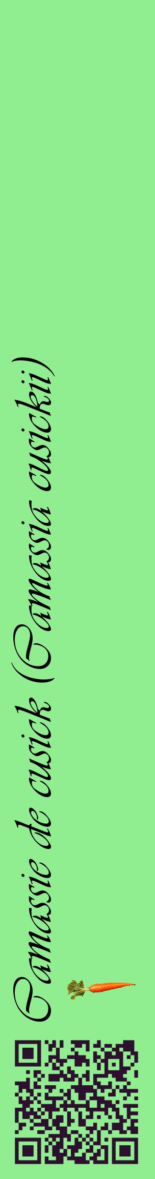 Étiquette de : Camassia cusickii - format c - style noire15_basiqueviv avec qrcode et comestibilité simplifiée