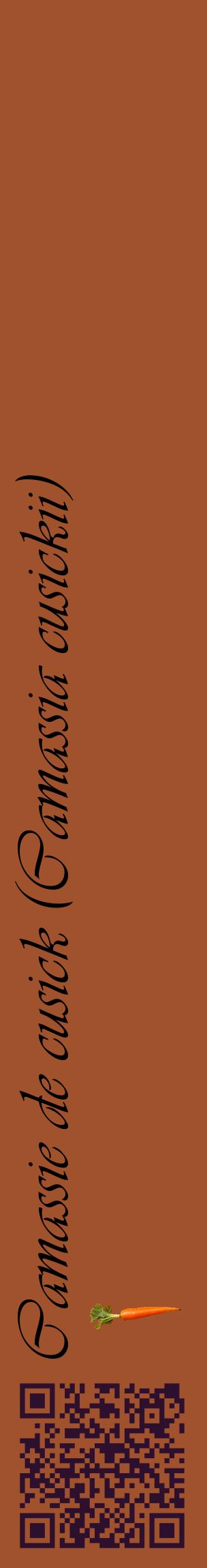 Étiquette de : Camassia cusickii - format c - style noire32_basiqueviv avec qrcode et comestibilité simplifiée