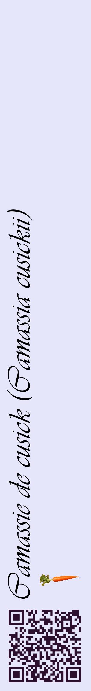Étiquette de : Camassia cusickii - format c - style noire55_basiqueviv avec qrcode et comestibilité simplifiée