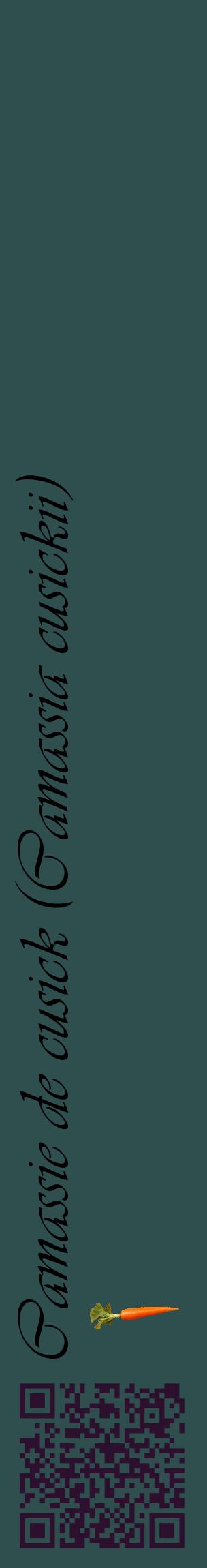 Étiquette de : Camassia cusickii - format c - style noire58_basiqueviv avec qrcode et comestibilité simplifiée