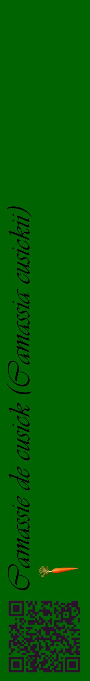 Étiquette de : Camassia cusickii - format c - style noire8_basiqueviv avec qrcode et comestibilité simplifiée