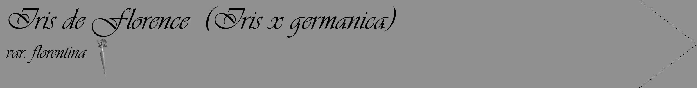 Étiquette de : Iris x germanica var. florentina - format c - style noire4_simple_simpleviv avec comestibilité simplifiée