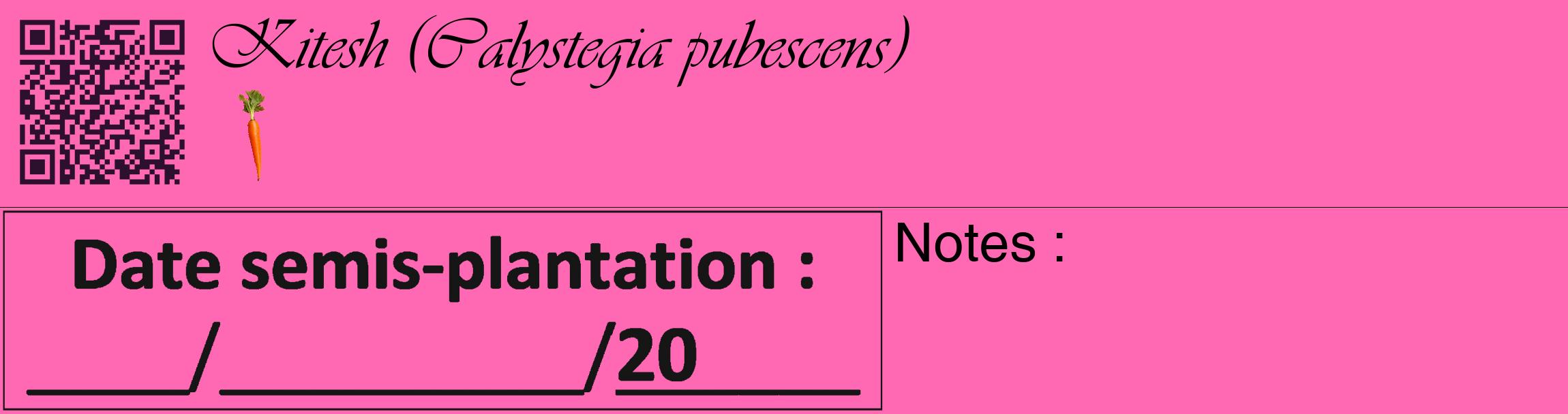 Étiquette de : Calystegia pubescens - format c - style noire42_basique_basiqueviv avec qrcode et comestibilité simplifiée