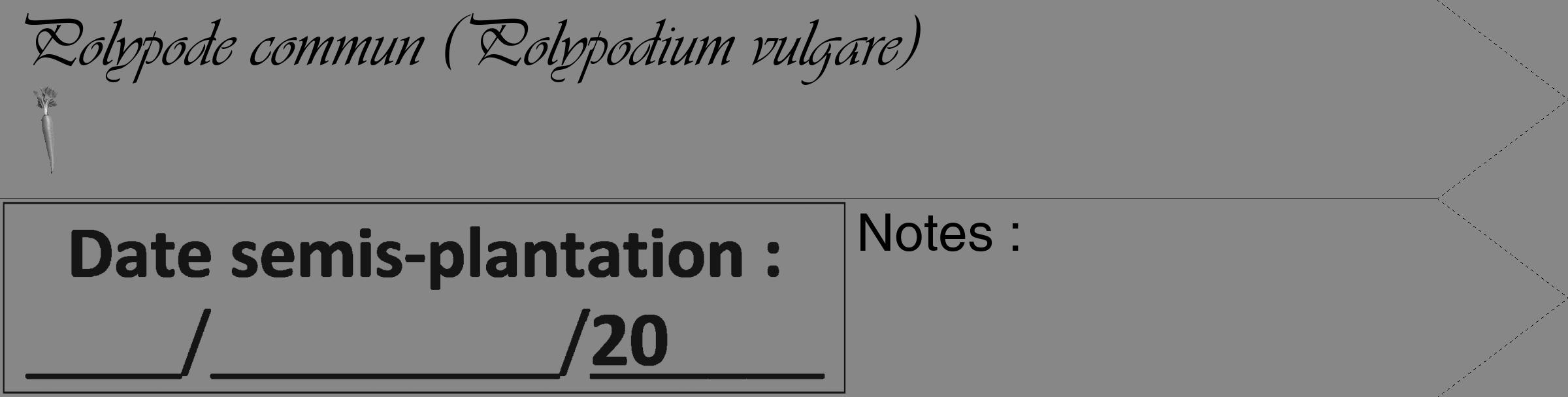 Étiquette de : Polypodium vulgare - format c - style noire12_simple_simpleviv avec comestibilité simplifiée