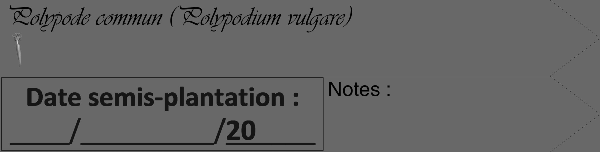 Étiquette de : Polypodium vulgare - format c - style noire43_simple_simpleviv avec comestibilité simplifiée